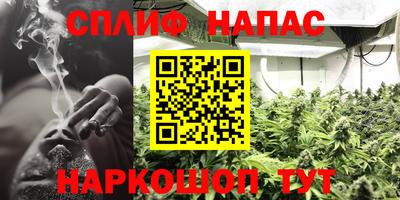 шишки Малоярославец