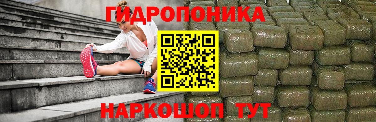 Шишки марихуана план Гулькевичи
